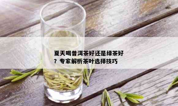 夏天喝普洱茶好还是绿茶好？专家解析茶叶选择技巧