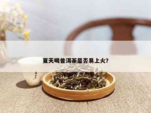 夏天喝普洱茶是否易上火？