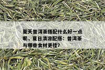 夏天普洱茶搭配什么好一点呢，夏日清凉配搭：普洱茶与哪些食材更佳？