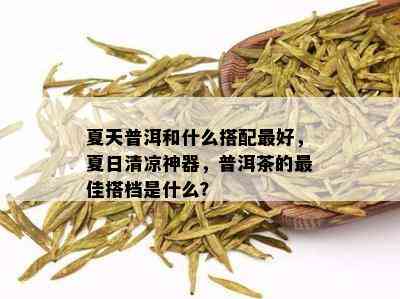 夏天普洱和什么搭配更好，夏日清凉神器，普洱茶的更佳搭档是什么？