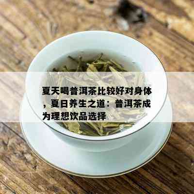 夏天喝普洱茶比较好对身体，夏日养生之道：普洱茶成为理想饮品选择