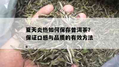 夏天炎热如何保存普洱茶？保证口感与品质的有效方法。