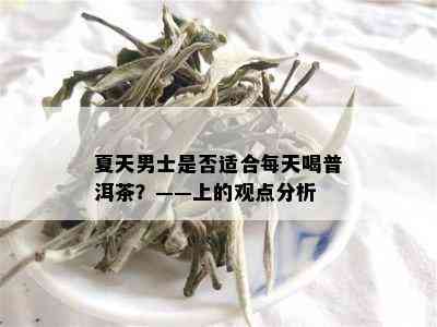 夏天男士是否适合每天喝普洱茶？——上的观点分析