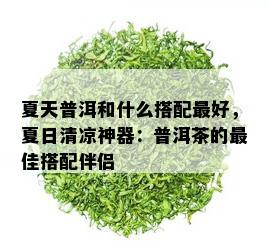 夏天普洱和什么搭配更好，夏日清凉神器：普洱茶的更佳搭配伴侣