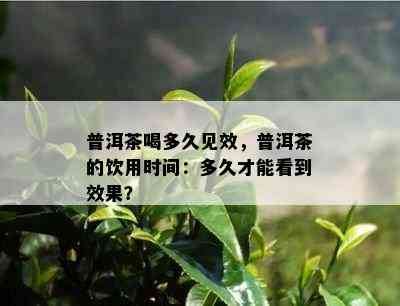 普洱茶喝多久见效，普洱茶的饮用时间：多久才能看到效果？