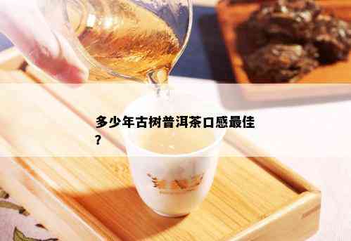 多少年古树普洱茶口感更佳？