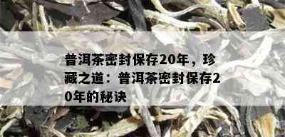 普洱茶密封保存20年，珍藏之道：普洱茶密封保存20年的秘诀