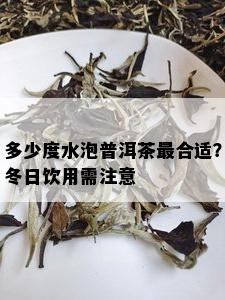 多少度水泡普洱茶最合适？冬日饮用需注意