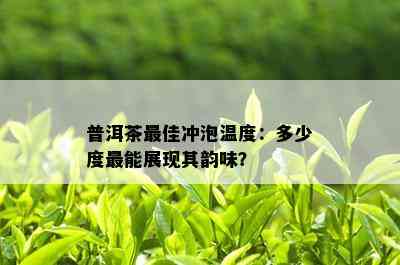 普洱茶更佳冲泡温度：多少度最能展现其韵味？