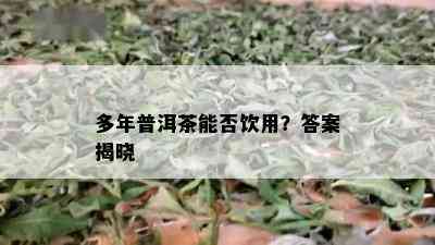 多年普洱茶能否饮用？答案揭晓