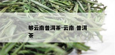 够云南普洱茶-云南 普洱茶