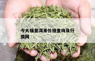 今大福普洱茶价格查询及行情网