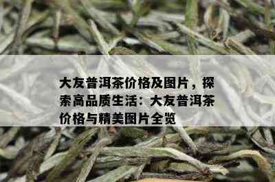 大友普洱茶价格及图片，探索高品质生活：大友普洱茶价格与精美图片全览