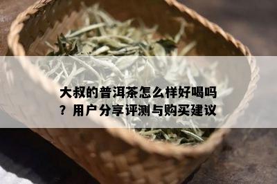 大叔的普洱茶怎么样好喝吗？用户分享评测与购买建议