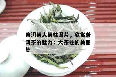 普洱茶大茶柱图片，欣赏普洱茶的魅力：大茶柱的美图集