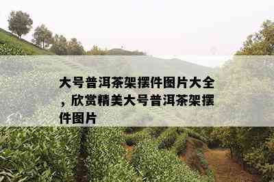 大号普洱茶架摆件图片大全，欣赏精美大号普洱茶架摆件图片