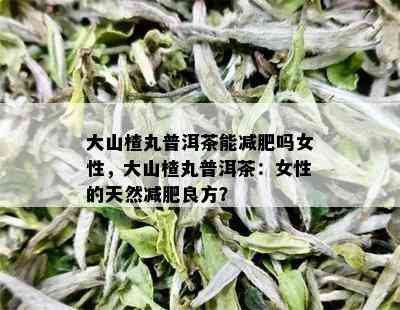 大山楂丸普洱茶能减肥吗女性，大山楂丸普洱茶：女性的天然减肥良方？