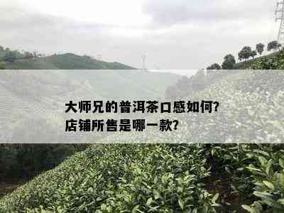 大师兄的普洱茶口感如何？店铺所售是哪一款？