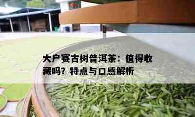 大户赛古树普洱茶：值得收藏吗？特点与口感解析