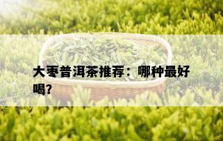 大枣普洱茶推荐：哪种更好喝？