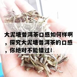 大泥塘普洱茶口感如何样啊，探究大泥塘普洱茶的口感，你绝对不能错过！