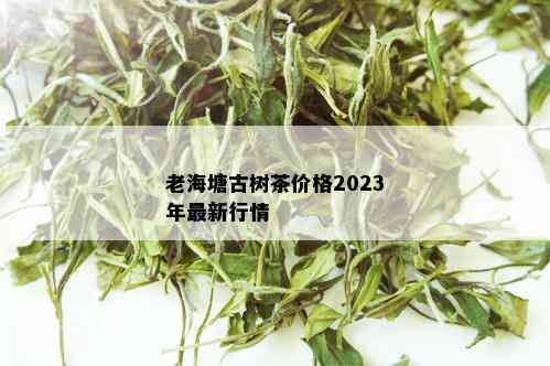 老海塘古树茶价格2023年最新行情