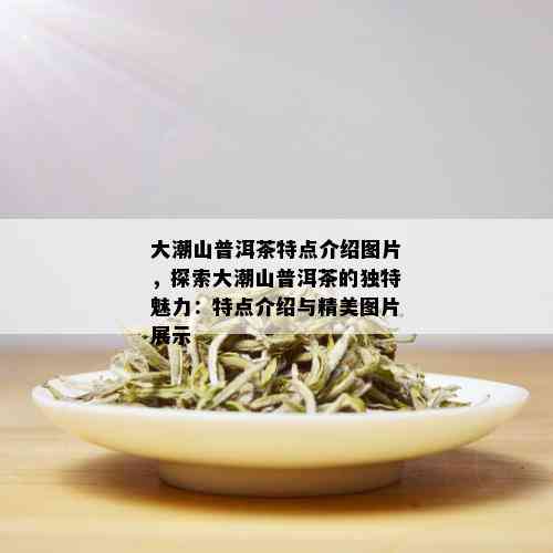 大潮山普洱茶特点介绍图片，探索大潮山普洱茶的独特魅力：特点介绍与精美图片展示