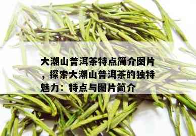 大潮山普洱茶特点简介图片，探索大潮山普洱茶的独特魅力：特点与图片简介