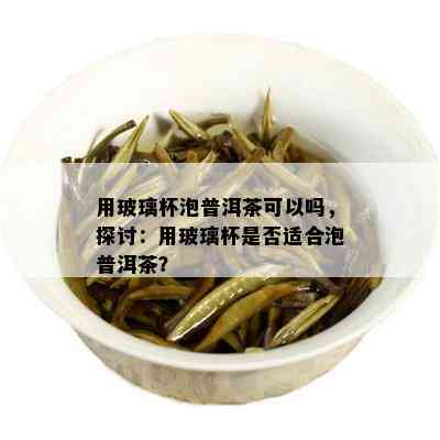 用玻璃杯泡普洱茶可以吗，探讨：用玻璃杯是否适合泡普洱茶？