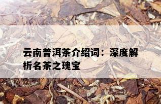 云南普洱茶介绍词：深度解析名茶之瑰宝