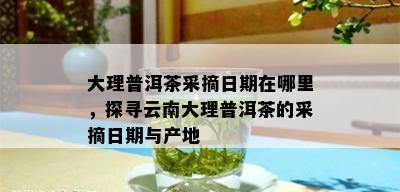 大理普洱茶采摘日期在哪里，探寻云南大理普洱茶的采摘日期与产地