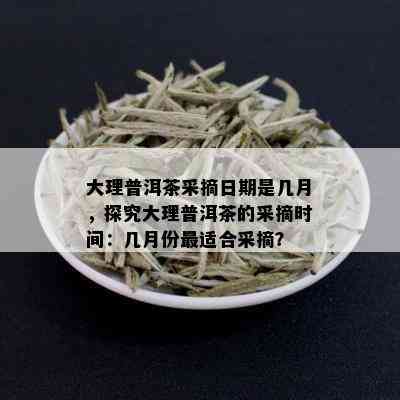 大理普洱茶采摘日期是几月，探究大理普洱茶的采摘时间：几月份最适合采摘？