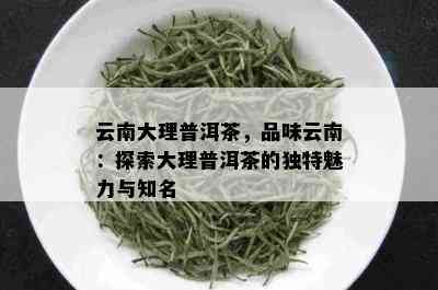 云南大理普洱茶，品味云南：探索大理普洱茶的独特魅力与知名