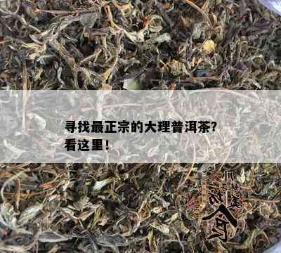 寻找最正宗的大理普洱茶？看这里！