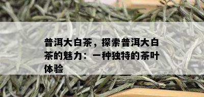 普洱大白茶，探索普洱大白茶的魅力：一种独特的茶叶体验