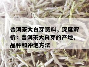 普洱茶大白芽资料，深度解析：普洱茶大白芽的产地、品种和冲泡方法