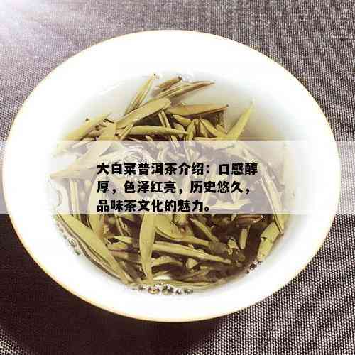 大白菜普洱茶介绍：口感醇厚，色泽红亮，历史悠久，品味茶文化的魅力。