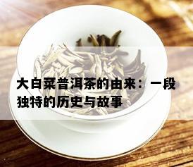 大白菜普洱茶的由来：一段独特的历史与故事