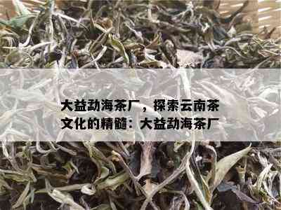 大益勐海茶厂，探索云南茶文化的精髓：大益勐海茶厂