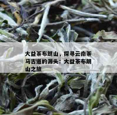 大益茶布朗山，探寻云南茶马古道的源头：大益茶布朗山之旅