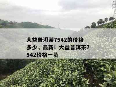 大益普洱茶7542的价格多少，最新！大益普洱茶7542价格一览