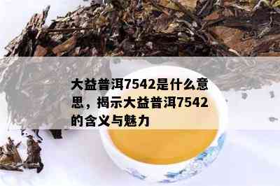 大益普洱7542是什么意思，揭示大益普洱7542的含义与魅力