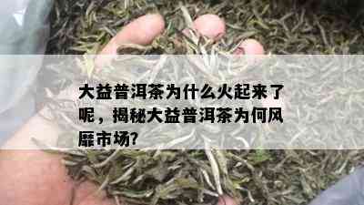 大益普洱茶为什么火起来了呢，揭秘大益普洱茶为何风靡市场？