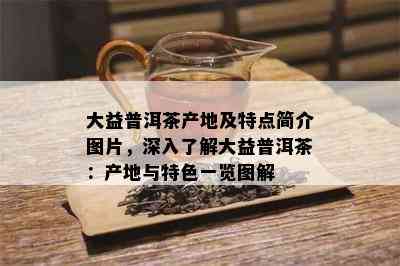 大益普洱茶产地及特点简介图片，深入了解大益普洱茶：产地与特色一览图解