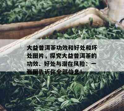 大益普洱茶功效和好处和坏处图片，探究大益普洱茶的功效、好处与潜在风险：一张图告诉你全部信息！