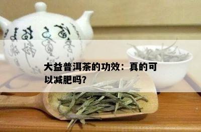 大益普洱茶的功效：真的可以减肥吗？