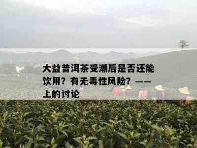 大益普洱茶受潮后是否还能饮用？有无性风险？——上的讨论