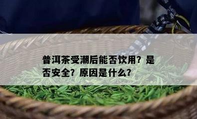 普洱茶受潮后能否饮用？是否安全？原因是什么？