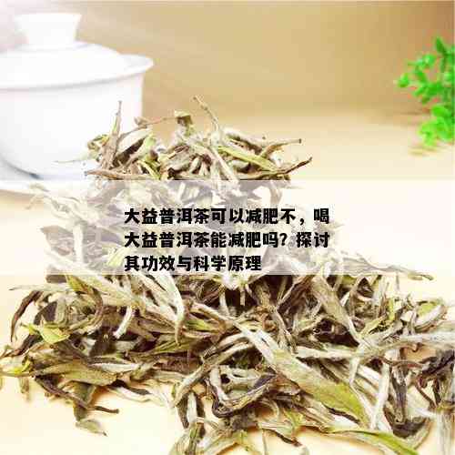 大益普洱茶可以减肥不，喝大益普洱茶能减肥吗？探讨其功效与科学原理