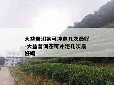 大益普洱茶可冲泡几次更好-大益普洱茶可冲泡几次更好喝